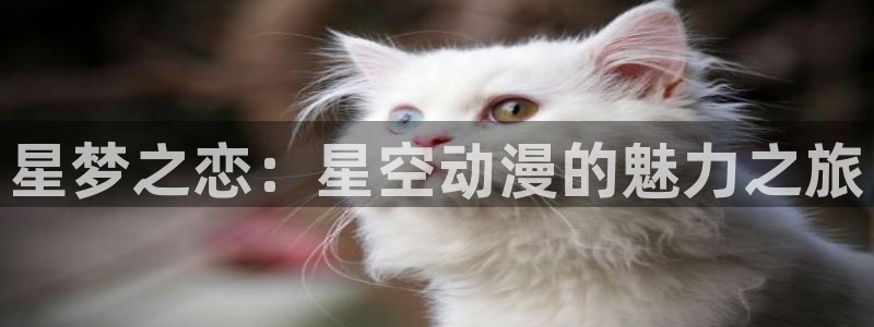 78动漫免费观看：星梦之恋：星空动漫的魅力之旅