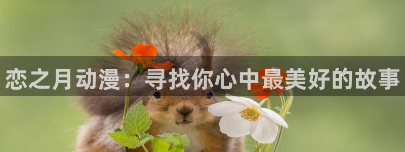 变形金刚78动漫：恋之月动漫：寻找你心中最美好的故事