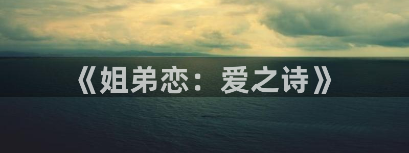 78动漫网站维护：《姐弟恋：爱之诗》